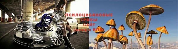 ПСИЛОЦИБИНОВЫЕ ГРИБЫ Киреевск